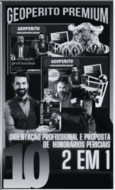 2 em 1 : ATRIBUIÇÕES DO GEÓGRAFO