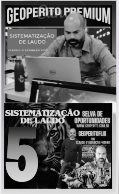 Sistematização de Laudo